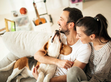 Embellie sur le marché immobilier au 1er trimestre 2024